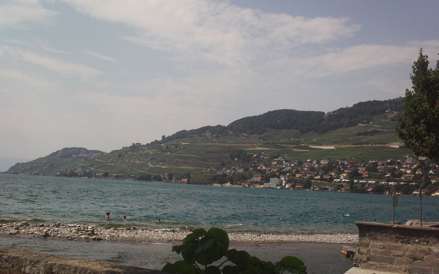 Lavaux vineyards above Lake Geneva